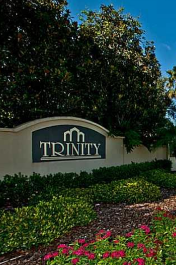 Best Realtor in Trinity FL helping homeowners sell their home fast and for top value